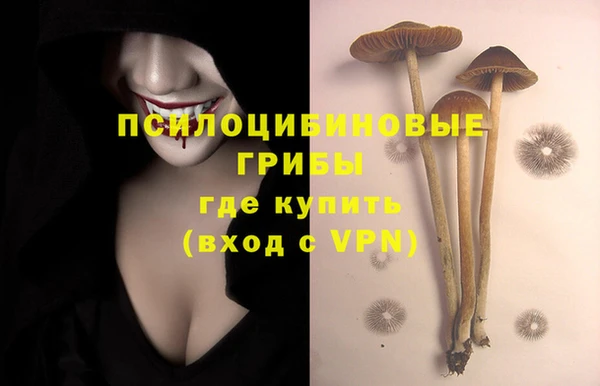 ALPHA-PVP Мегион