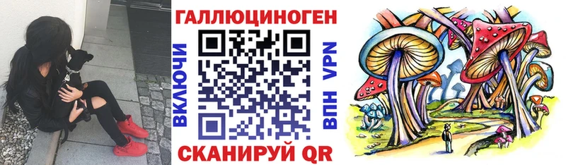 Купить где  Уфа  Псилоцибиновые грибы Magic Shrooms 